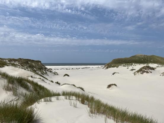 Blick auf das Meer durch Dünen.
