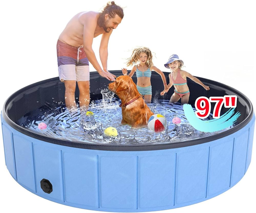 Imagen de un padre y unos niños con las piernas recortadas mal con el photoshop y un perro de tamaño desproporcionado pegado en la piscina tambien
