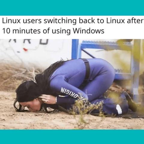 Linus users switching back to Linux after 10 minutes of using Windows.

There's a photo of Katy Perry kissing the ground.