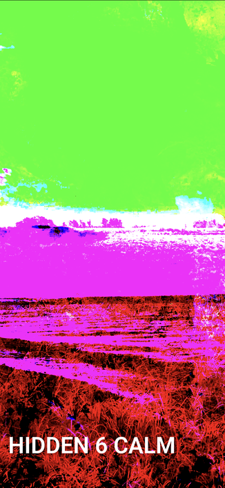 Hidden 6 Calm