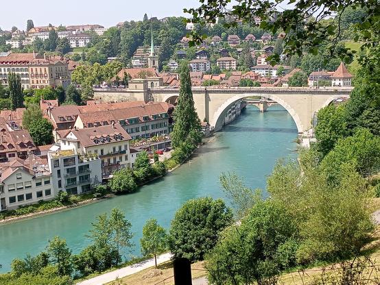 Foto.
Blick über grüne Büsche auf die ebenfalls grüne Aare, die Nydeggbrücke und ein paar Häuser des Mattequartiers.