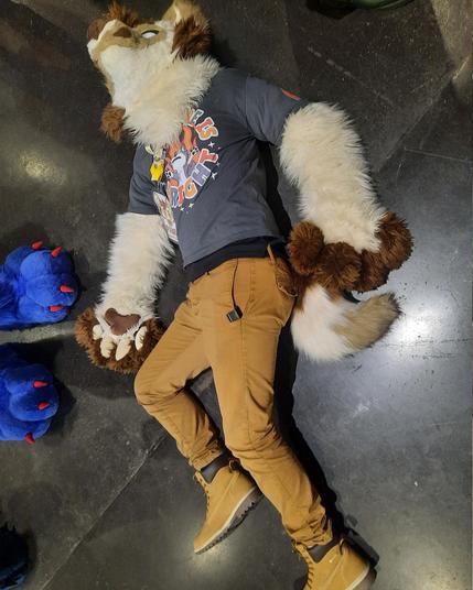 Pawl ded on the floor (Geek Days Summer 2024)