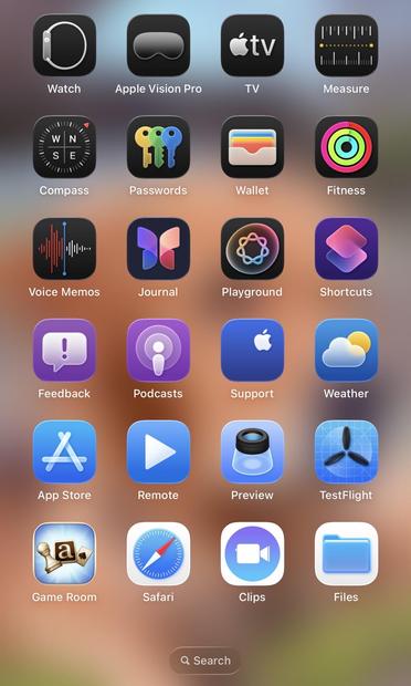 A screenshot (2 of 2) of Apple’s apps on an iOS Home Screen.