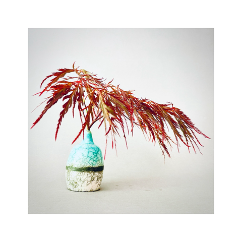 acer leaves plucked from their natural habitat and stuck into a little green and white "single bloom" vase, then photographed against a light grey background