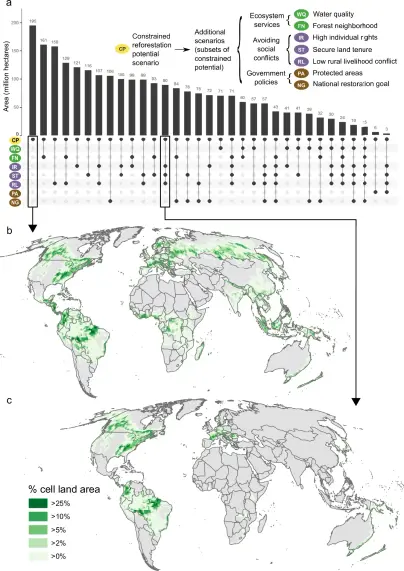 a Comparison of the area of seven scenarios to the constrained reforestation potential, and the area of agreement of 25 select scenario combinations (area shown in bars, identity of scenario combinations shown below the bars by circles), b percent land area in the constrained reforestation potential scenario by one-degree cells, and c percent land area where all avoiding social conflicts scenarios agree (intersect) within the constrained reforestation potential by one-degree cells. Panel c has less total area than panel b due to removal of areas with low individual rights, insecure land tenure, and/or potential conflict with nature-dependent livelihoods. Note that 102 other possible scenario combinations are not shown in a.