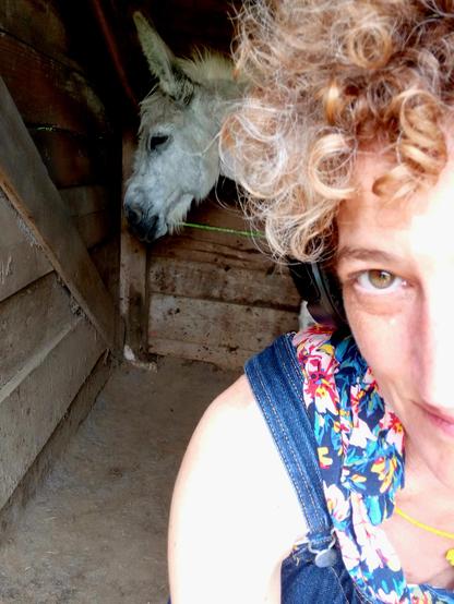 C'était juste avant que Gourmand ne pleure ce matin. Et c'est un selfie, de leur cabane :).