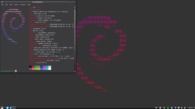 Debian 12 Cinnamon desktop with hyfetch