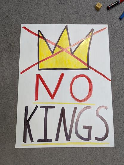 Protest sign that reads No Kings with the crown crossed out.