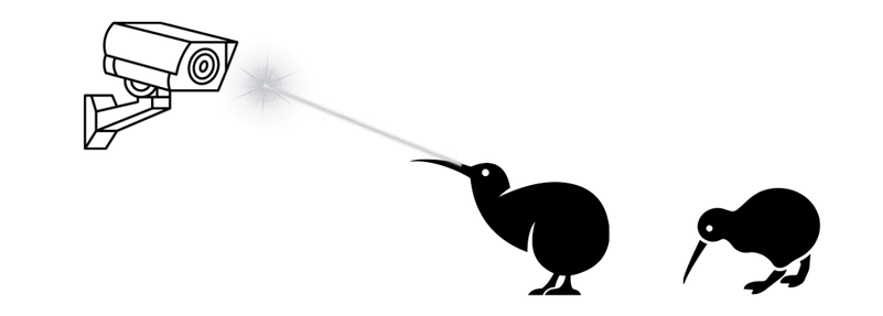Black and white art of two kiwi birds and a surveillance camera. One extremely powerful kiwi is pointing its laser eyes are the camera and is destroying it utterly