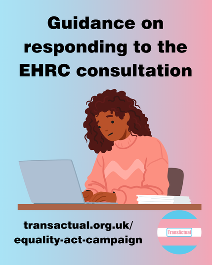 Text says: Guidance on responding to the EHRC consultation. . transactual.org.uk/equality-act-campaign. Illustration of a person working on their laptop 