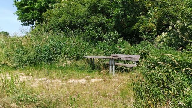 Vorher: der Rastplatz ist nur bedingt zugänglich und dadurch nicht besonders anziehend.