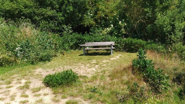 Nachher: Etwas einladender, aber es fehlen #Schattenspender und Mullbehälter mit Deckel - nicht zuletzt wegen der Waschbären