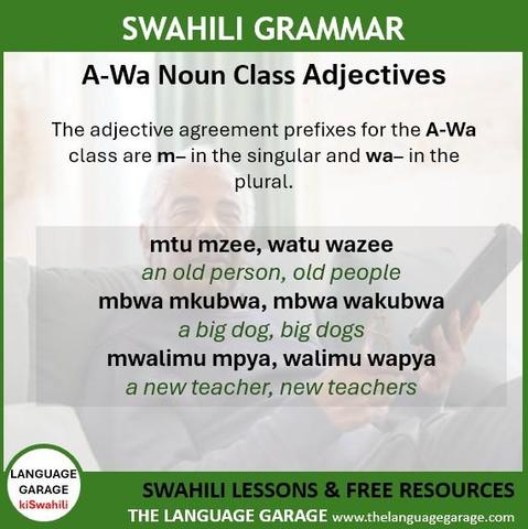 Swahili grammar note on A-Wa adjectives, image of an old man