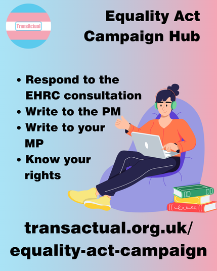 Text says: Equality Act Campaign Hub. Respond to the EHRC consultation. Write to the PM. Write to your MP. Know your rights. transactual.org.uk/equality-act-campaign. Illustration of a person on their laptop sitting on a beanbag.