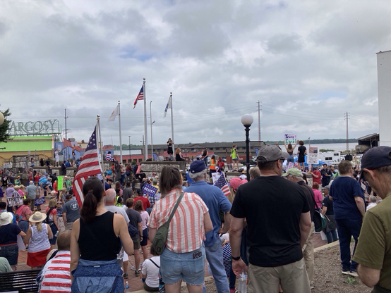 Many people with signs and flags at the no kings protest this morning in Alton, Illinois.