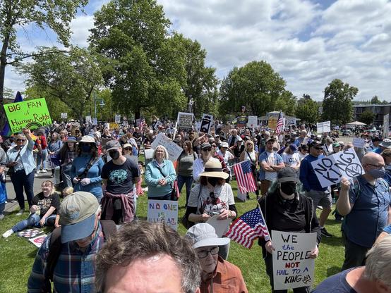 Protest view away from the stage. Full of people, signs, American flags. 