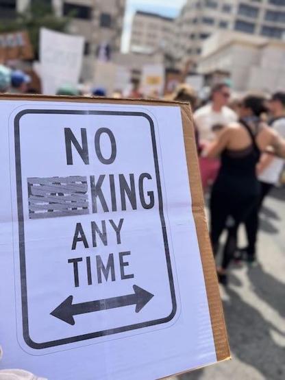 Protest sign that looks like a No Parking sign but with the PAR scratched out, resulting in NO KING ANY TIME