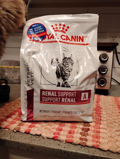 A bag of 'vet' approved cat food [Royal Canin] in order to assist with Kidney failure.