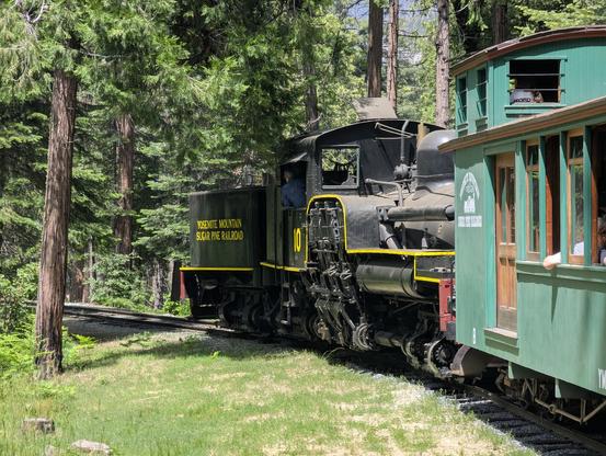 A Shay locomotive heading down the grade through the forest