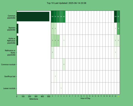 Diagramm der Fledermäuse vom 14.06.2025