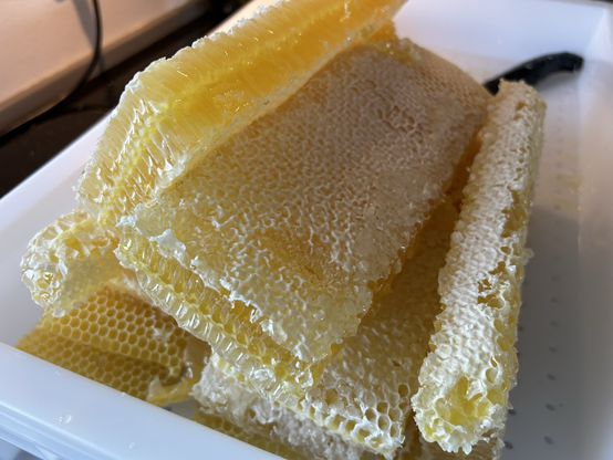 Honeycomb cut from the frames.