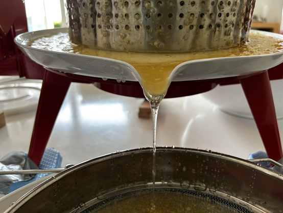 Honey running off the press into a strainer.