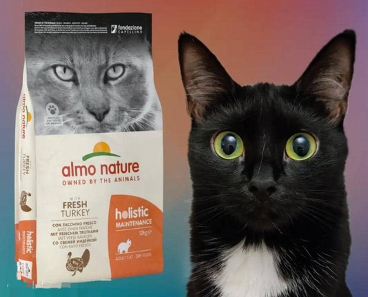 Kindly help donate with food essentials for our cats 