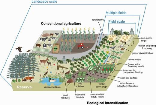 EI management at different spatial scales, from the field scale to the multiple-field scale to the landscape scale.