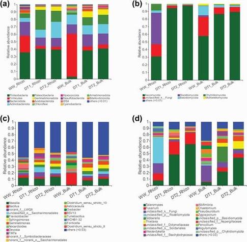 Taxonomic comparison of the microbial community in rhizosheath, rhizosphere and bulk soil under irrigation treatments.