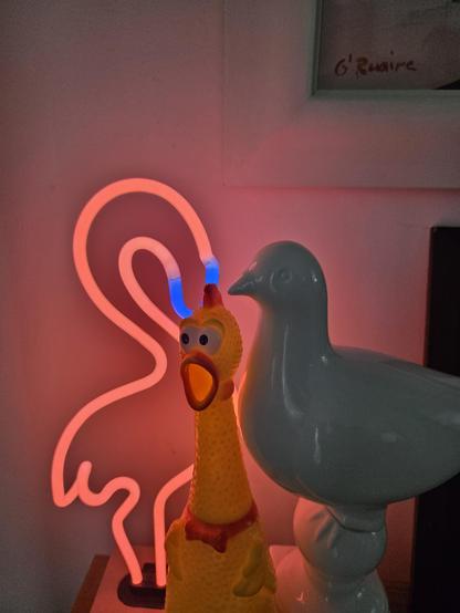 Family portrait 🐔😱