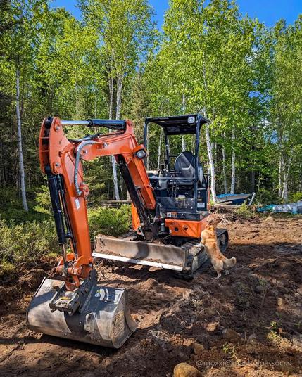 Moxxi the corgi is propped up on a orange excavator in the forest. She's staring at it intensely and wants to get into it and drive it and dig holes and bark. Normal stuff.