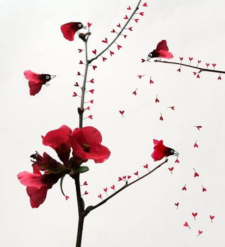 Des oiseaux en fleurs
