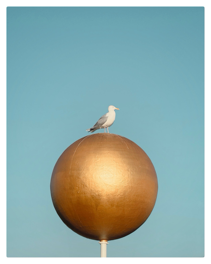 A serene scene of a seagull sitting on golden sphere