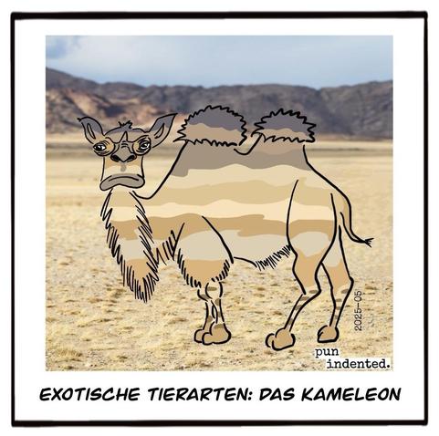 Ein Cartoon: Ein Kamel steht in einer Wüstenlandschaft. Seine Körperfarbe hat sich der Umgebung angepasst, sodass es nur schwer zu erkennen ist. Bildunterschrift: Exotische Tierarten: Das Kameleon.
