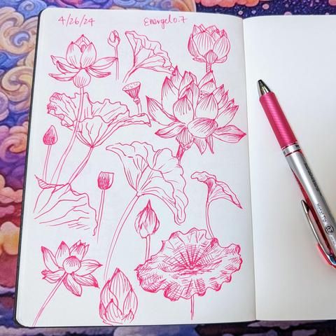 A sketchbook page with pen drawings of lotus flowers and leaves. The date 4/26/24 is written at the top and Energel 0.7 is written next to it. The pink Energel 0.7 pen is on the opposite page.