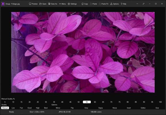 A JPEG image set to manual quality of 55%

