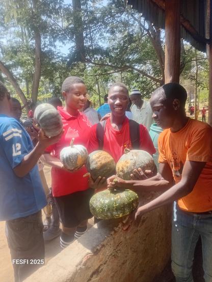 A harvest of pumpkins ready for cooking. 