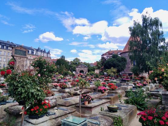 Blick auf einen Friedhof an einem Sommertag. Der Himmel ist blau mit weißen Wolken. Die Gräber sind mit liegenden Steinplatten bedeckt. Überall blühen Rosen in allen Farben.