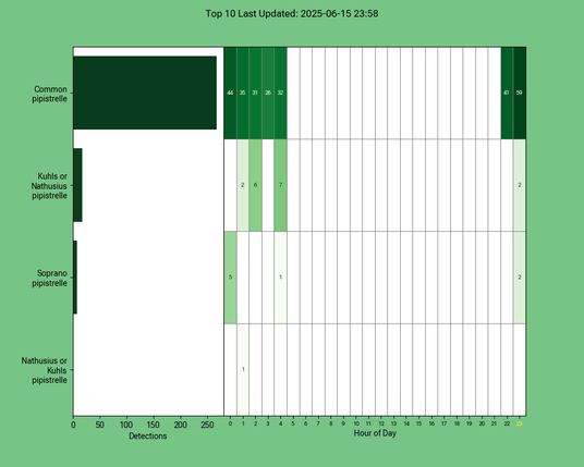 Diagramm der Fledermäuse vom 15.06.2025
