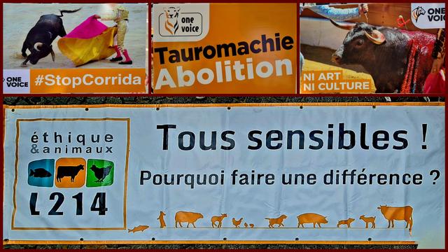 Non à la corrida 