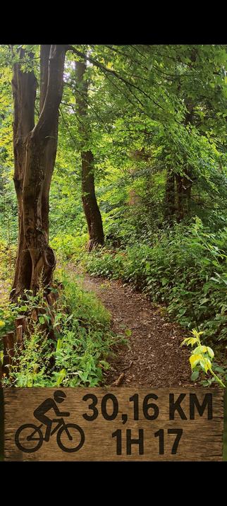 Un sentier de forêt sinueux, entouré de feuillage dense et lumineux. En bas, un panneau en bois affiche : "30,16 km – 1h17", illustré d’un pictogramme de cycliste. L’image évoque une échappée sportive au cœur de la nature