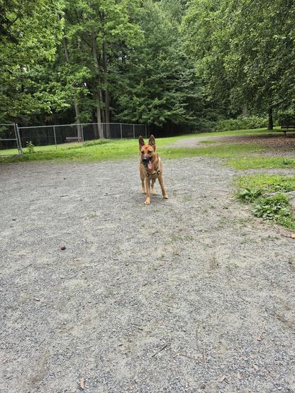 Ready to play ball!