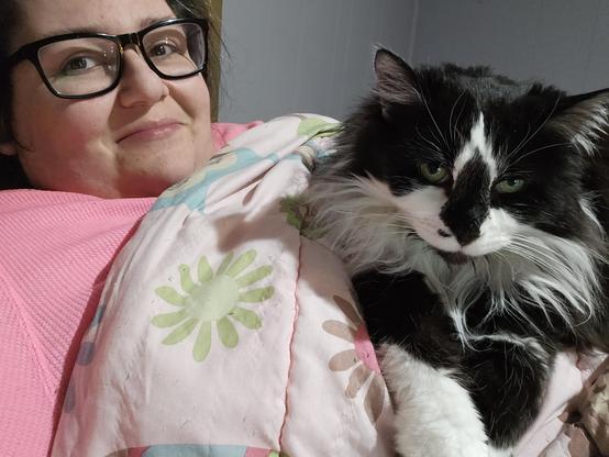 Becca is laying in bed, covered by a blanket. Their tuxedo cat, Smudge, is laying on them like an adorable fluffy water bottle.