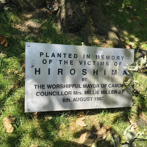 Metal plaque writing:

PLANTED IN MEMORY 
OF THE VICTIMS OF
HIROSHIMA
BY
THE WORSHIPFUL MAYOR OF CAMDEN 
COUNCILLOR Mrs MILLIE MILLER J.P
8th AUGUST 1967