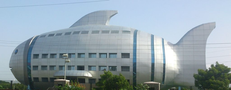 India's National Fisheries Board is housed in this building in Hyderabad. (Photo: https://en.m.wikipedia.org/wiki/National_Fisheries_Development_Board) it is a fish shaped building 
