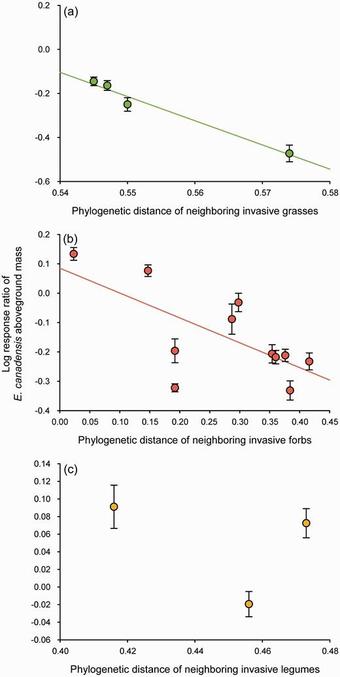 Relationship between the log-response ratios of the invasive plant Erigeron canadensis and phylogenetic distance between E. canadensis and neighboring invasive species.