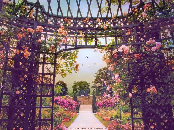 A lush garden pathway is framed by an ornate archway covered in blooming roses, leading to a set of steps surrounded by vibrant foliage. The scene is bathed in soft, warm light, creating a tranquil and inviting atmosphere under a clear sky with a few birds in flight.