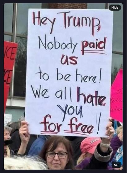 Photo of demonstrator holding a board above her head 

Board reads - 

“Hey trump, nobody paid us to be here !
We all hate you for free !”