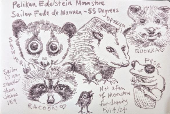 Sketchbook page with the text at the top saying Pelikan Edelstein Moonstone. The line below say Sailor Fude de Mannen - 55 degrees. There are six animal faces drawn on the page, with the names of the animals written next to most of them. Top left is the face of a slow loris, to the right is the face and front legs of an opossum, and to the top right is the face of a quokka. The bottom left has the text, Sailor is way smoother than Jinhao 159. To the right of the text is The drawing of a face of a raccoon, and to the right of that is a small cartoon crow. To the right of that is the text, not a fan of Moonstone for drawing 5/14/24. Bottom right has a drawing of a frog grasping a stone.