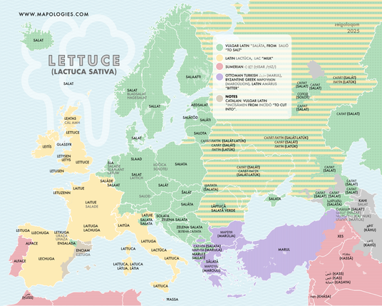etymology map fof lettuce